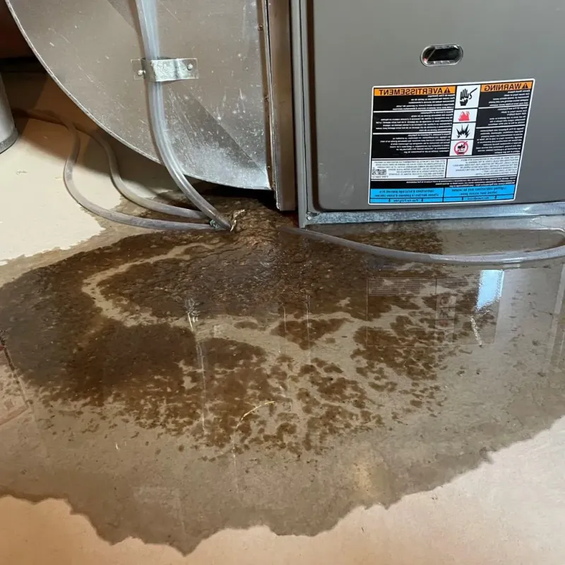 Pipe Burst and Leak Restoration in El Cajon, CA