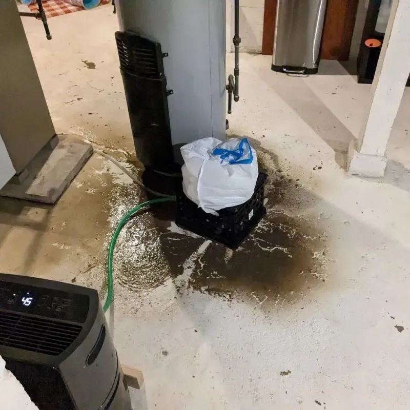 Sewage Backup Cleanup Service in El Cajon, CA